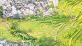 实施积极应对人口老龄化国家战略 推动养老事业和产业高质量发展