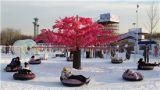 燃冰沸雪，春节旅游新趋势