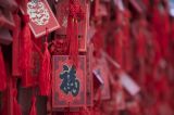 岁启新程，总书记以经典共话新春期许