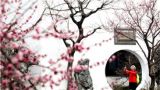 从“一季花”到“四季春”，赏花经济何以“花开不败”？