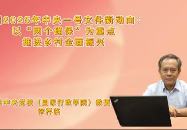 把握2025年中央一号文件新动向：以“两个确保”为重点推进乡村全面振兴