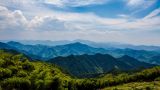 世界文化激荡呈现新态势
