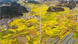 以奋斗之姿共绘高质量发展新图景