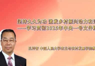 坚持久久为功，激发乡村振兴动力和活力——学习贯彻2025年中央一号文件精神