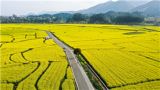 赏花踏青，“春日经济”绽放新活力