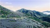 两山理念20周年｜深入践行“双碳”战略 推动绿色转型