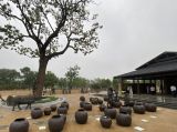 北京首个！“馆园一体”凝视千年时光