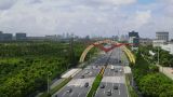 在开拓创新中走自己的路：坚定不移走中国特色社会主义道路