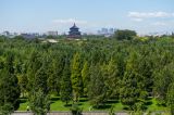 “扩绿、兴绿、护绿”并举，努力把北京建成美丽花园