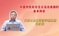 中国特色社会主义法治道路的基本内容