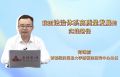我国法治体系高质量发展的实践路径