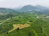 驰而不息推进作风建设 