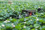 暑期经济：新玩法如何带动新消费？