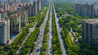 中国特色社会主义法治道路的基本内容
