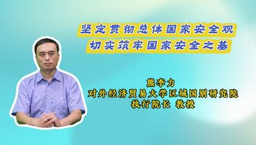 坚定贯彻总体国家安全观 切实筑牢国家安全之基