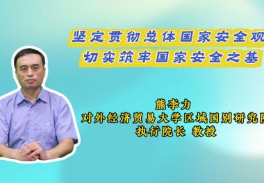 坚定贯彻总体国家安全观 切实筑牢国家安全之基
