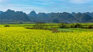我國生態(tài)系統(tǒng)的脆弱性