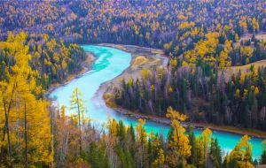 【党员课堂】共产党员加强党性修养的路径与方法 【党员课堂】共产党员加强党性修养的路径与方法