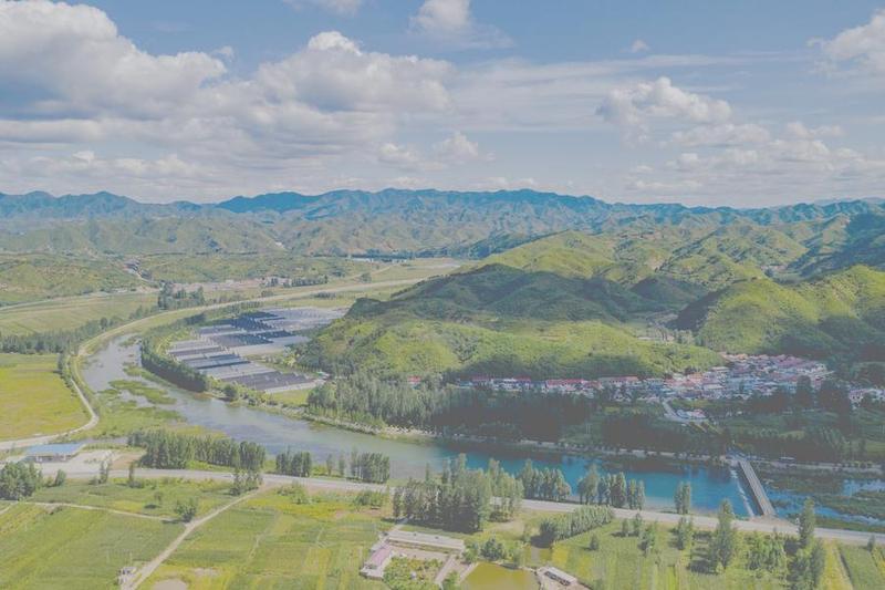 落实责任制，共绘绿水青山美好图景
