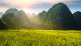 宋豫秦：以“兩山”理念引領經濟社會發(fā)展全面綠色轉型