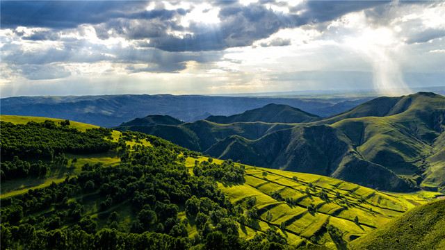 吴佳佳:牢记“三个务必” 永葆“赶考”的清醒和坚定