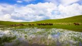 黄海峰：深入学习贯彻习近平生态文明思想 促进可持续发展