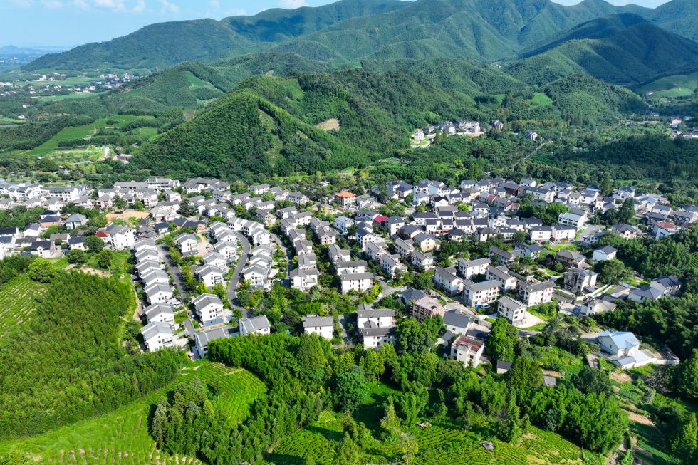 这是2025年8月5日拍摄的浙江省杭州市余杭区径山村景色（无人机照片）。新华社记者 毛竹 摄