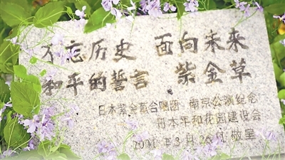听，“紫金草”唱出的和平之声