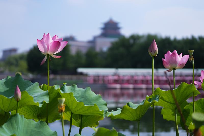 北京減污降碳換來168個(gè)好天兒