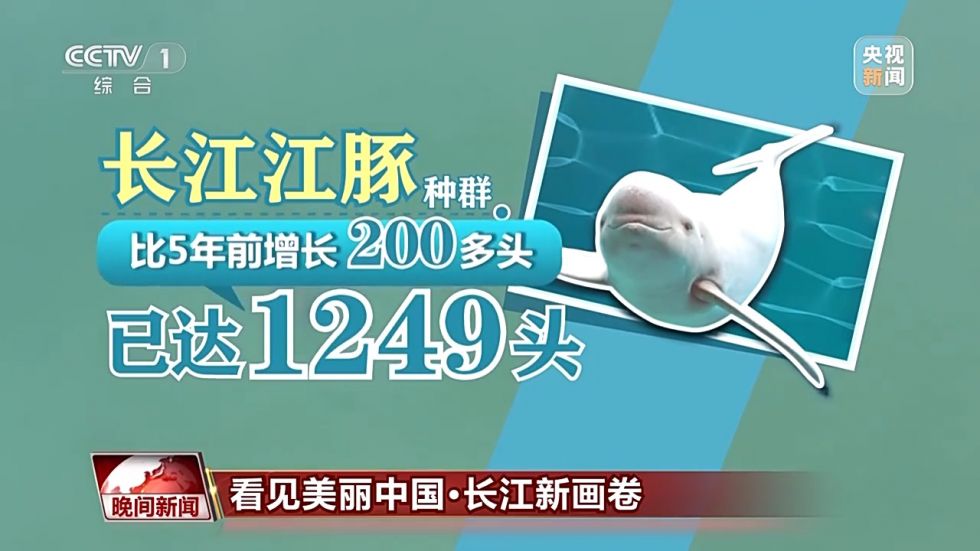 20250815_154110_020