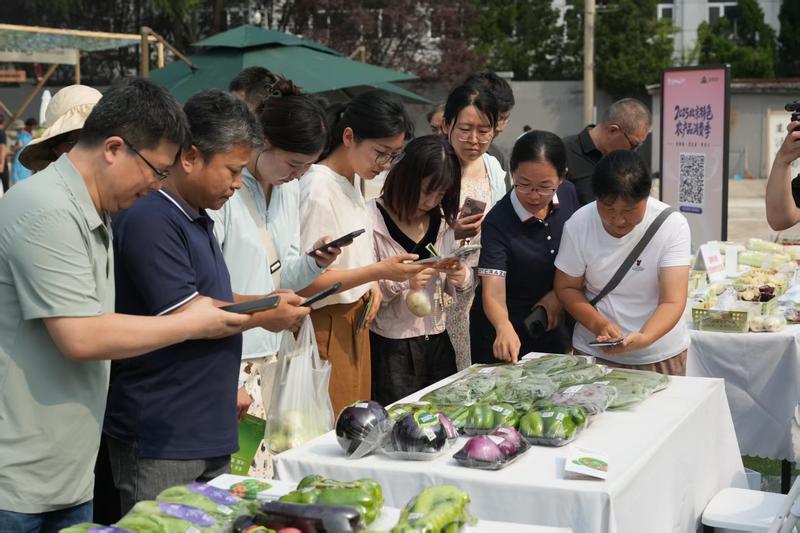 小屏幕打开大市场，农村电商激活乡土中国