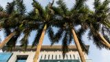 党领导深圳经济特区建设的历史经验与启示