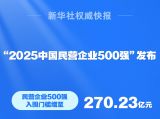 向“新”做“实”，民营企业高质量发展动能足