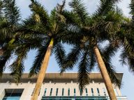 党领导深圳经济特区建设的历史经验与启示