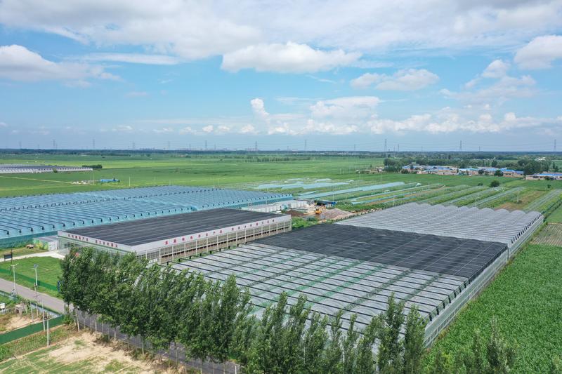 筑牢“三农”压舱石，夯实推进中国式现代化根基