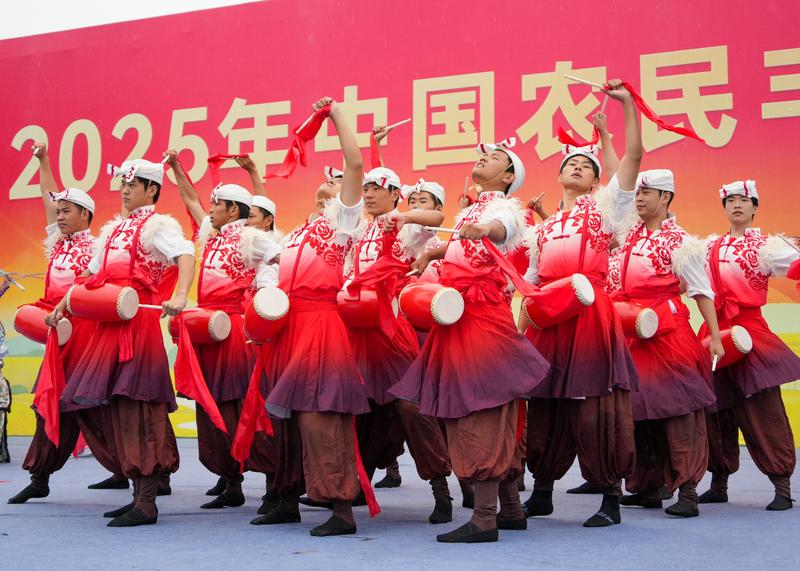 丰收节里最动人的中国故事