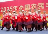 丰收节里最动人的中国故事