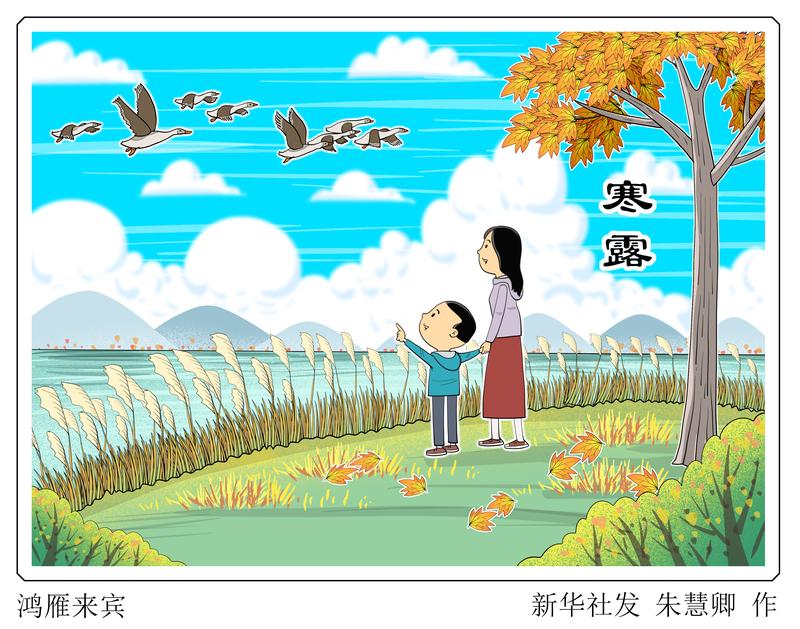 【廿四節(jié)氣·寒露】秋意濃，露凝霜，養(yǎng)生正當(dāng)時(shí)