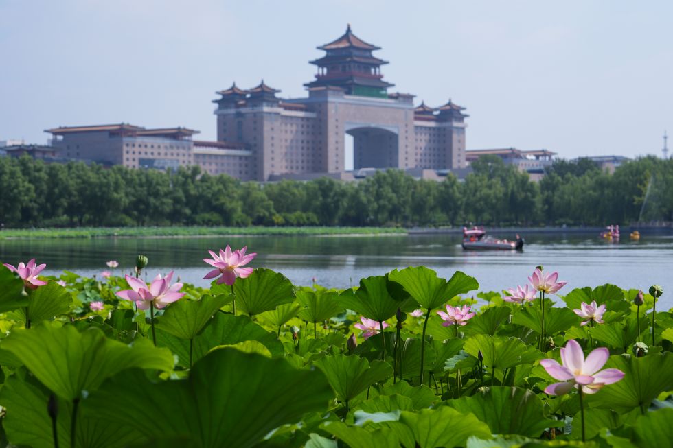 北京：夏日荷韻（2）XxjpsgC007371_20250721_PEPFN0A001