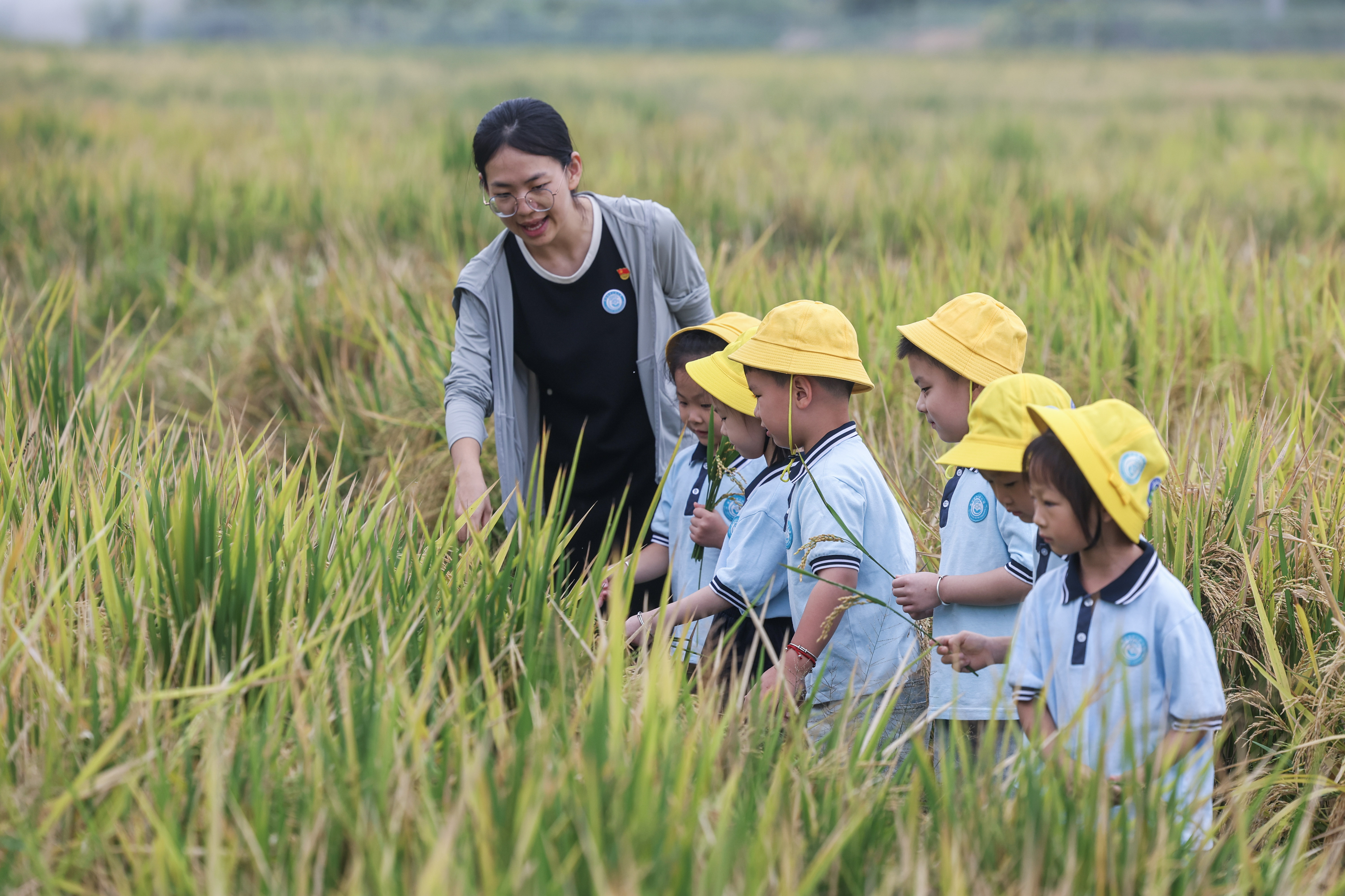 節(jié)糧就是增糧，心動(dòng)更需行動(dòng)
