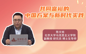 共同富裕的中国方案与新时代实践