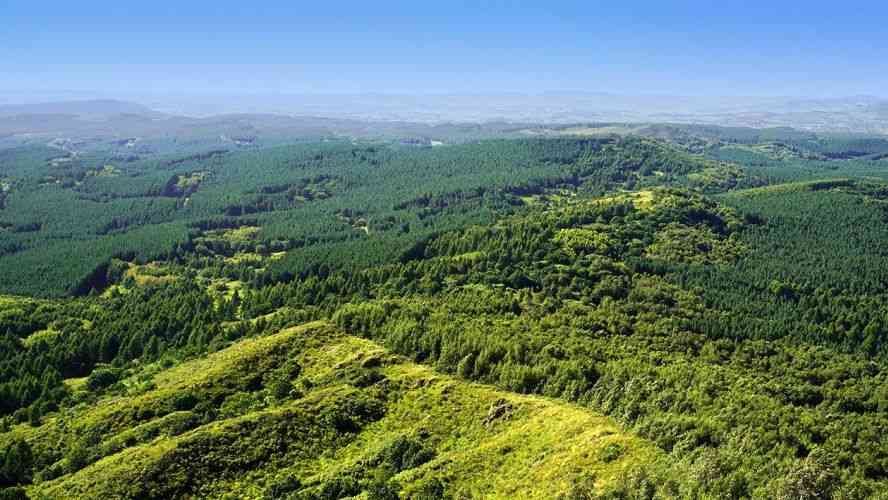 以“两山”理念引领经济社会发展全面绿色转型