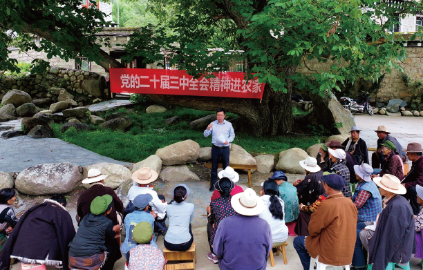 2024年7月23日,在四川省甘孜州稻城县香格里拉镇热光村的百年核桃树下,泸州帮扶 稻城工作队领队向当地群众宣讲党的二十届三中全会精神。