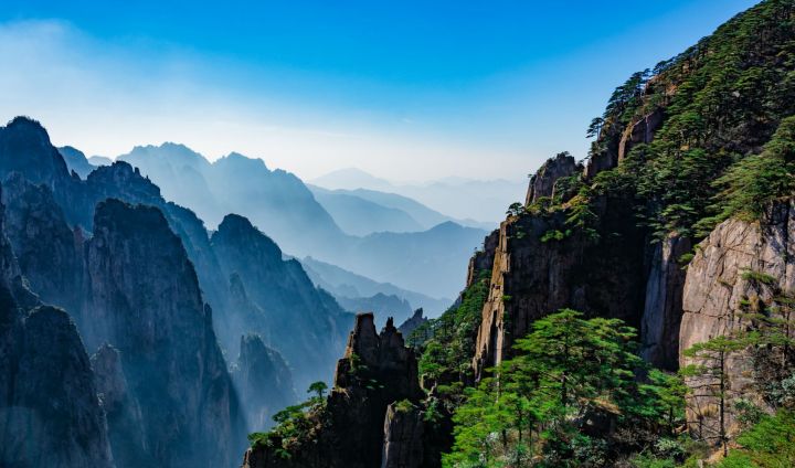 全会热词丨边斗争，边备战，边建设