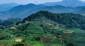 党的二十届四中全会及“十五五”规划《建议》的基本特点