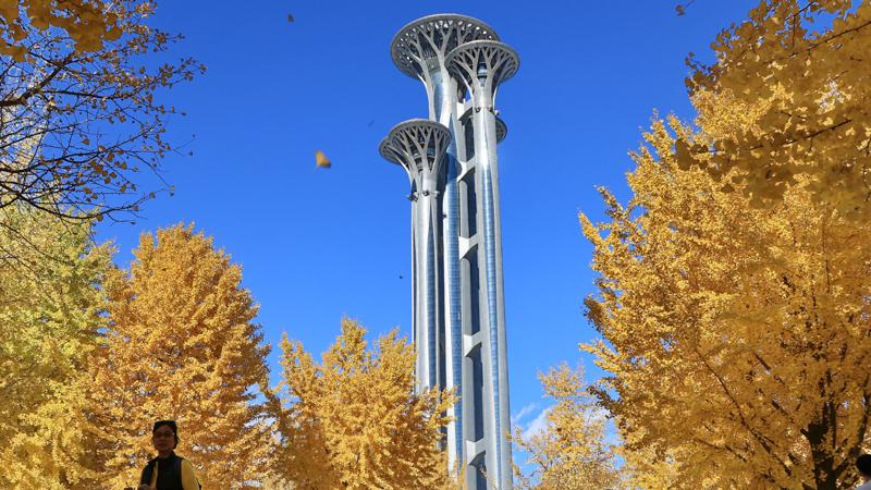 一纸票根串起京城文商旅融合新图景