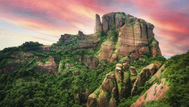 【党员课堂】以上率下是党风建设的必然逻辑