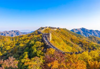 【党员课堂】以上率下是党风建设的必然逻辑