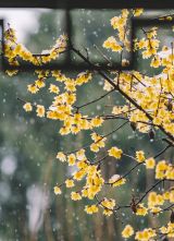 立冬藏暖 岁序安闲