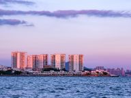 深刻把握党的二十届四中全会提出的新概念新观点新论断——学习贯彻党的二十届四中全会精神